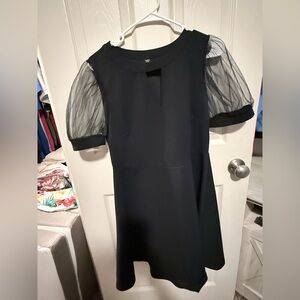 Amazon Black A-Line Dress with Sheer Puff Sleeves